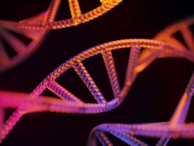 double helix dna